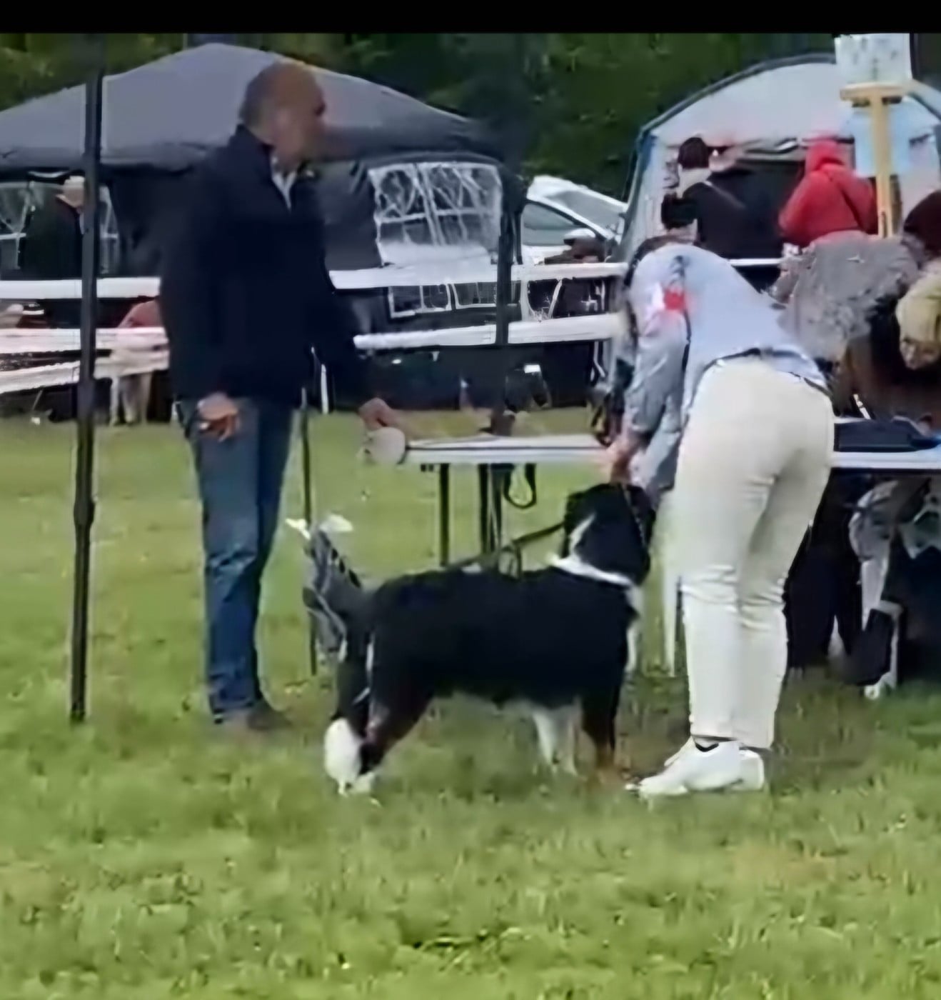 Astrée Du Rubis Mystérieux - 1er TP Meilleur Puppy