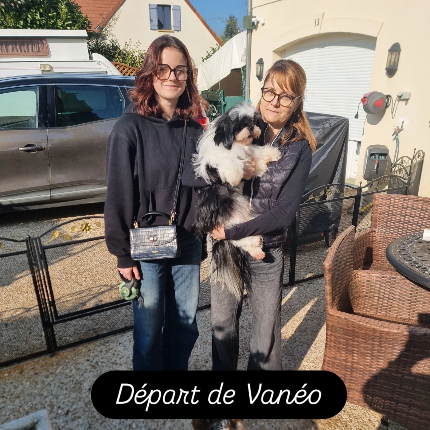 VANEO - CHIOT Mâle 2