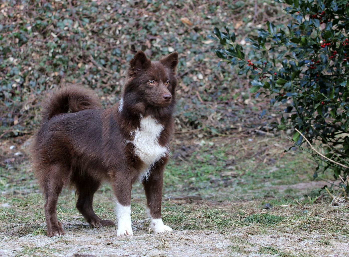 Publication : Nuance De La Fleur De Vie Auteur : Nuance de la Fleur de Vie