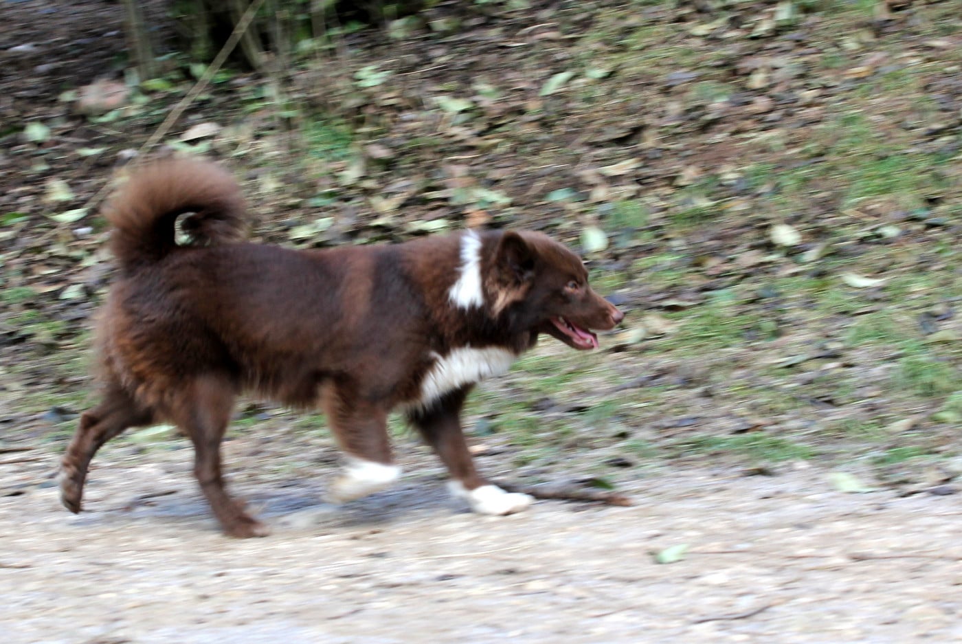 Publication : Nuance De La Fleur De Vie Auteur : Nuance de la Fleur de Vie