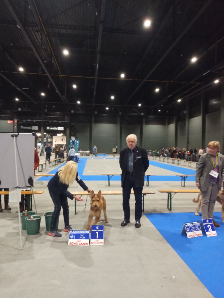 Vipere De La Riviere Authie - Très prometteur, meilleur puppy