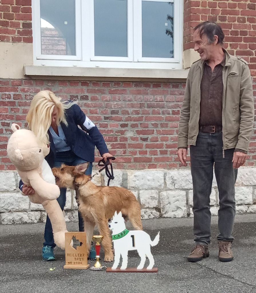 Vipere De La Riviere Authie - Très prometteur, meilleur baby