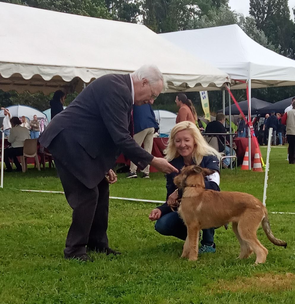 Vipere De La Riviere Authie - Très prometteur, meilleur baby