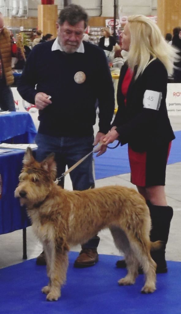 Vipere De La Riviere Authie - Prometteur