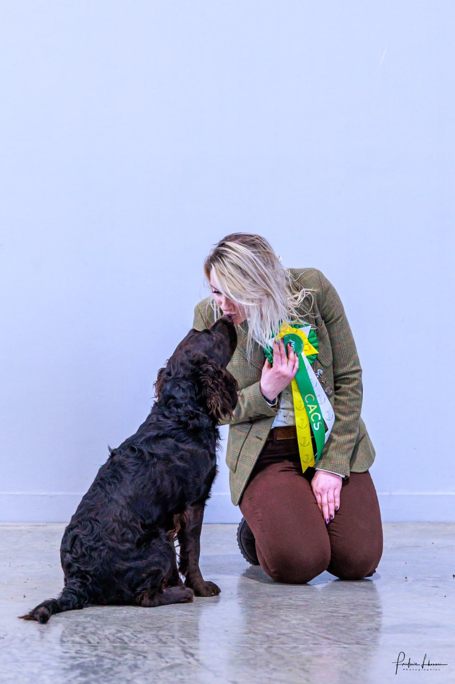 Meister Des Waldes Vog - 1er Excellent - CACS - BOS