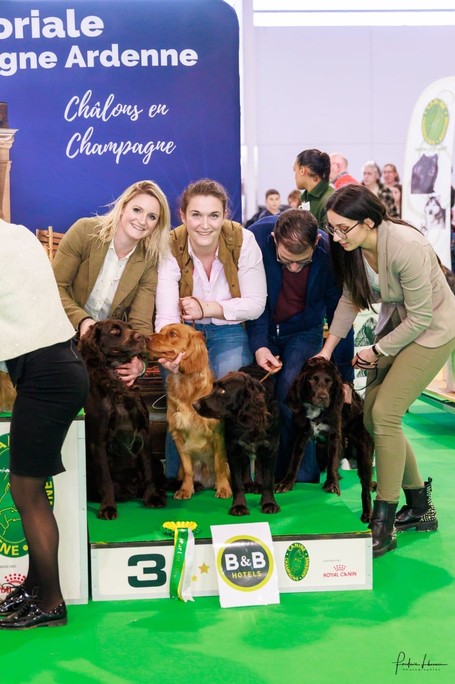 CH. Meister Des Waldes Panther - 3eme Meilleur Élevage de l'exposition de Chalons