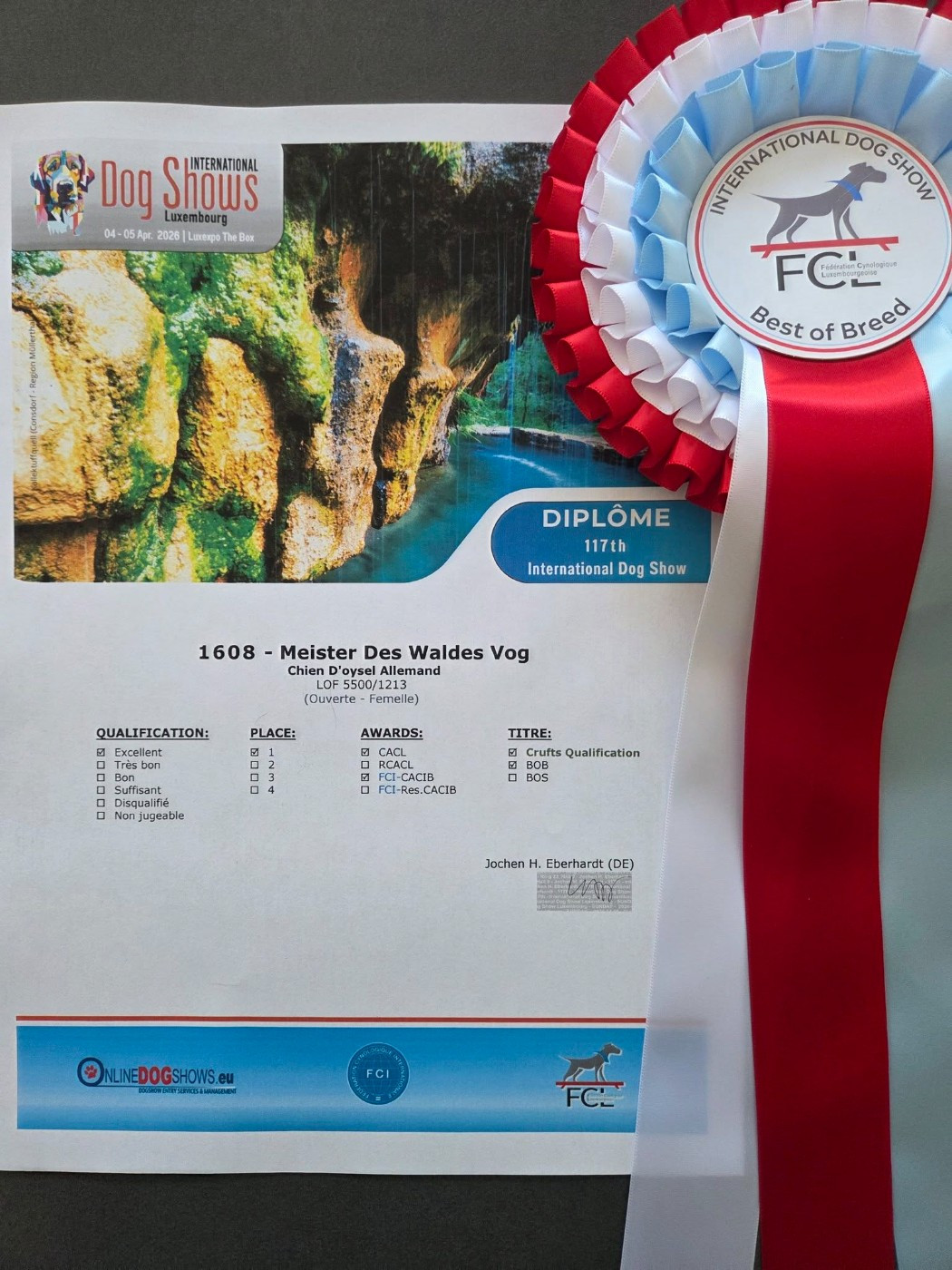 Meister Des Waldes Vog - 1er Excellent - CACL - CACIB - BOB