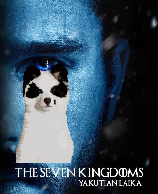 Seven Kingdoms Wolves