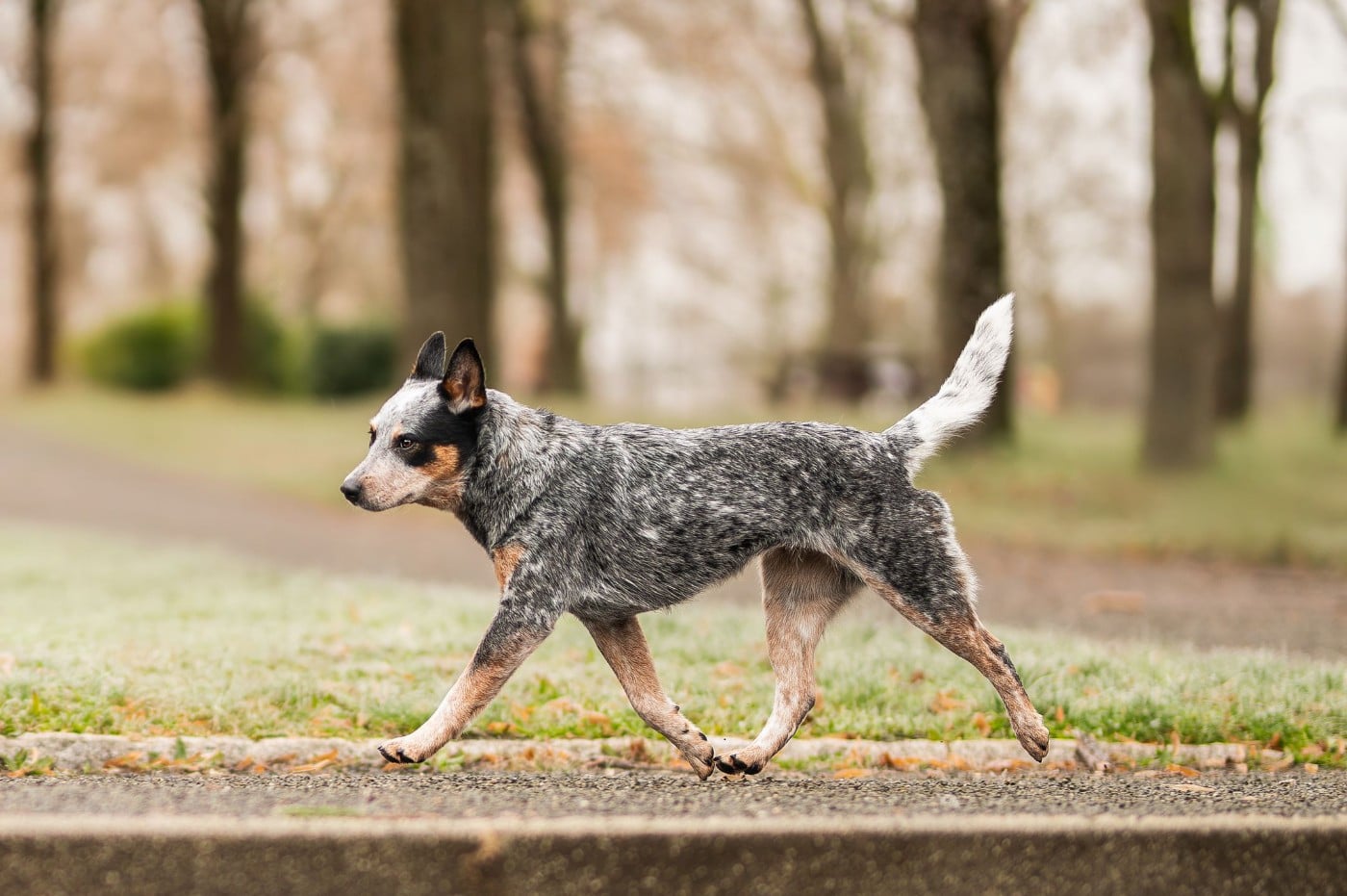 CH. Under a million lights Of Willandra Lakes