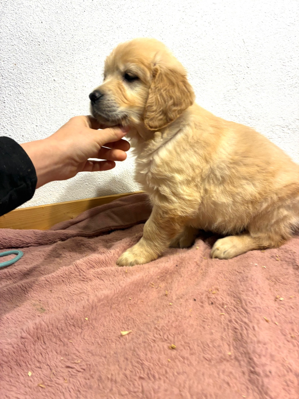 Parents entierement Testé