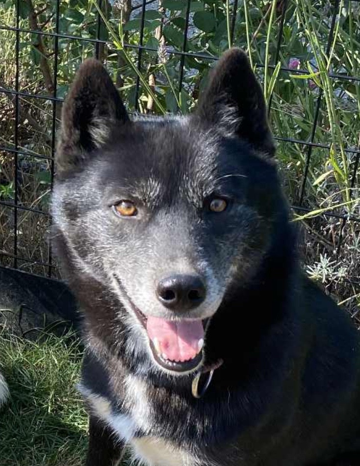 Together forever Of Winter's Whisper