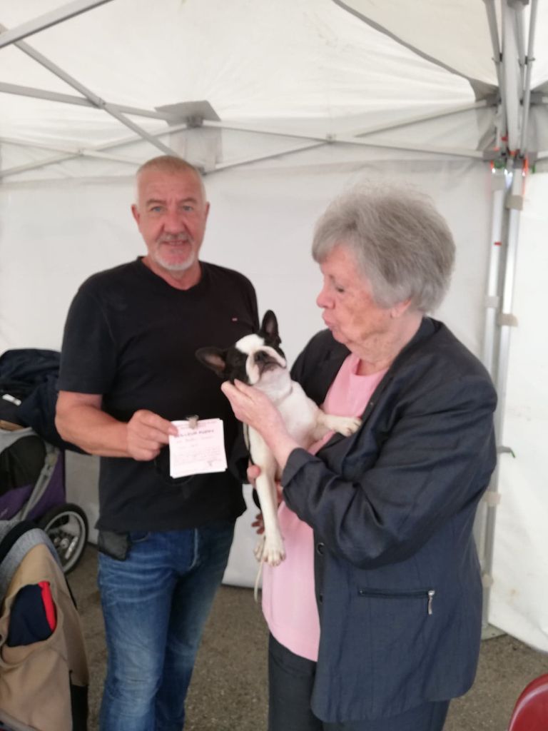 CH. Ryhanna Du Royaume De Perla - BOB meilleur de race