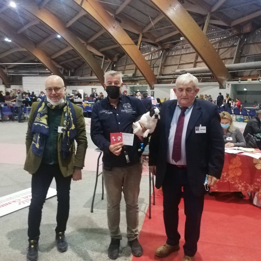 CH. Ryhanna Du Royaume De Perla - CACIB BOB