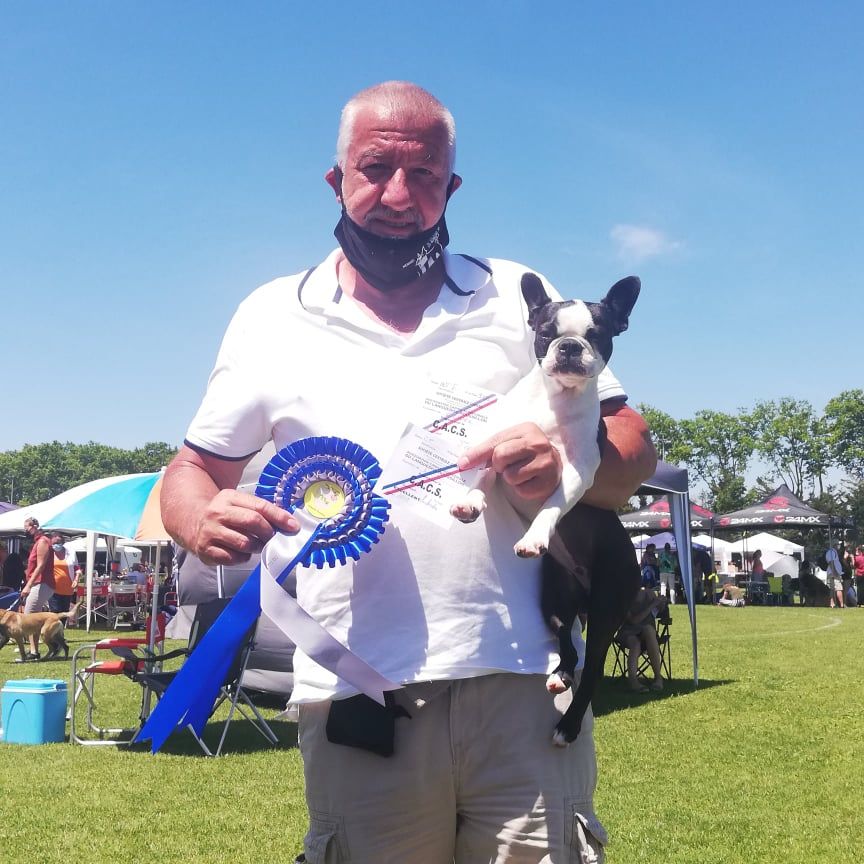 CH. Ryhanna Du Royaume De Perla - CACS Meilleur de sexe opposé