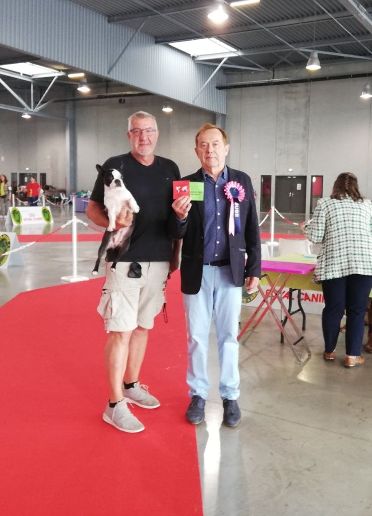 CH. Ryhanna Du Royaume De Perla - 1 ere en classe champion CACIB BOS