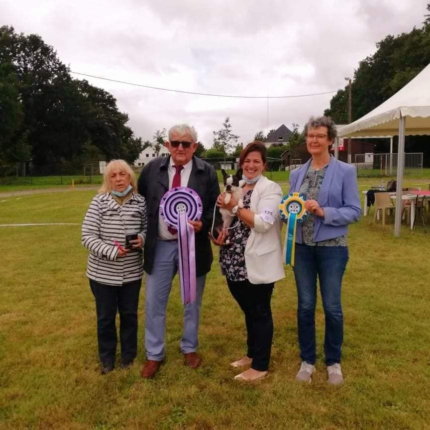 CH. Ryhanna Du Royaume De Perla - classe inter 1ere CACS BOB