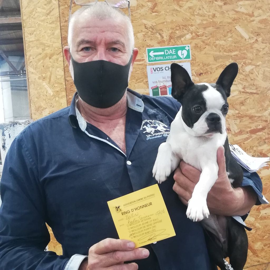 CH. Ryhanna Du Royaume De Perla - Meilleur PUPPY de la race