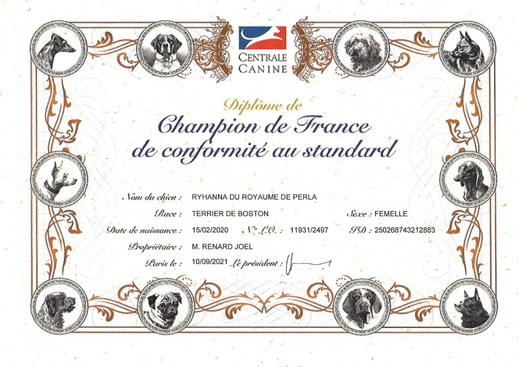 CH. Ryhanna Du Royaume De Perla - Championne de France de conformité au standard
