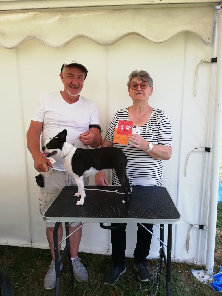 CH. Ryhanna Du Royaume De Perla - CACIB BOB meilleur de race