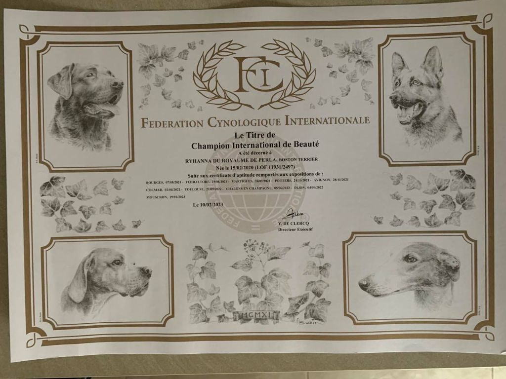 CH. Ryhanna Du Royaume De Perla - championne internationnal de beauté