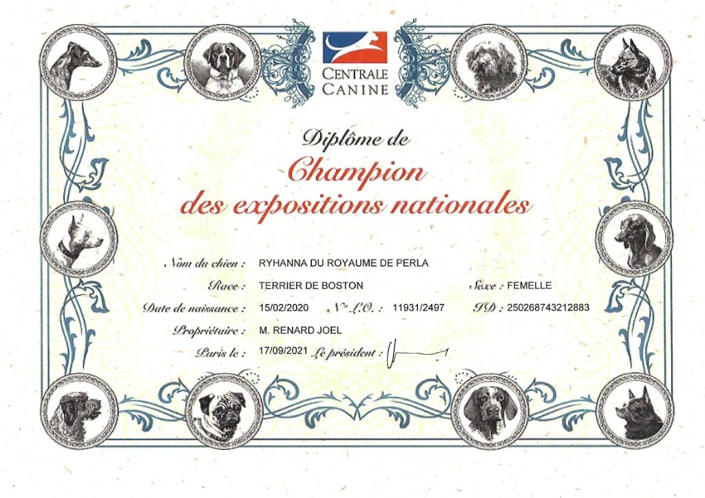 CH. Ryhanna Du Royaume De Perla - Championne Nationnale des Exposition