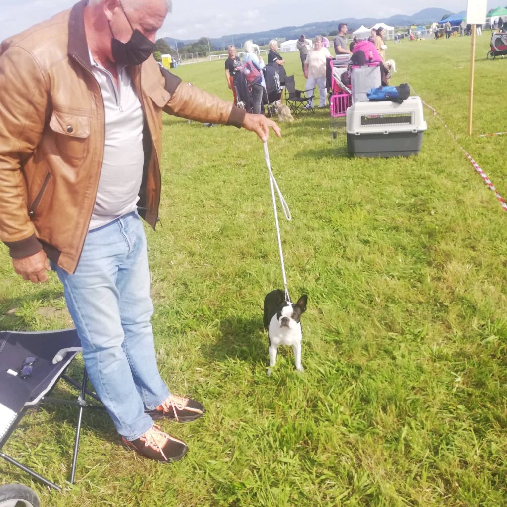 CH. Ryhanna Du Royaume De Perla - CACS BOB