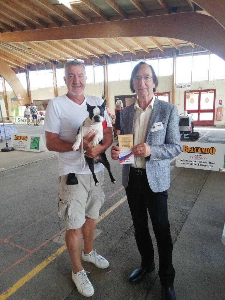 CH. Ryhanna Du Royaume De Perla - Meilleur Champion et Meilleur de Race