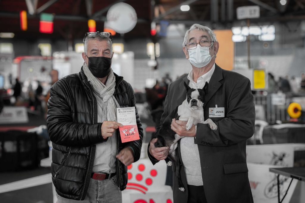 CH. Ryhanna Du Royaume De Perla - CACIB BOB