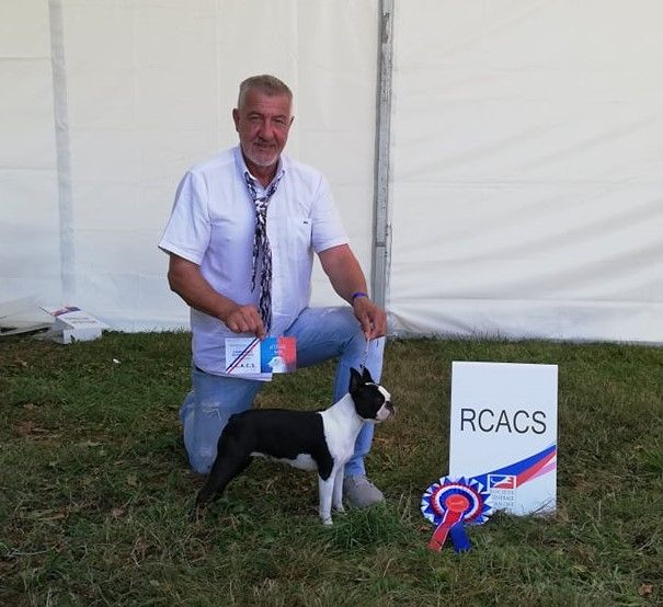 CH. Ryhanna Du Royaume De Perla - classe inter 2eme RCACS