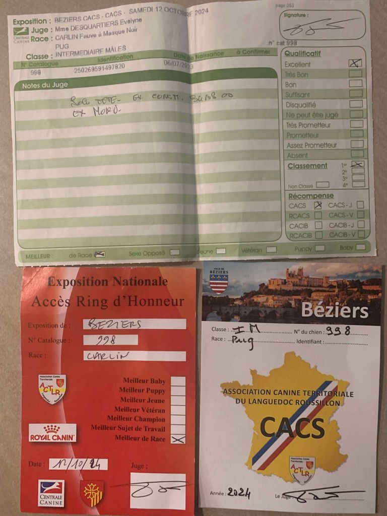 Ungaro of three love angel - CACS BOB