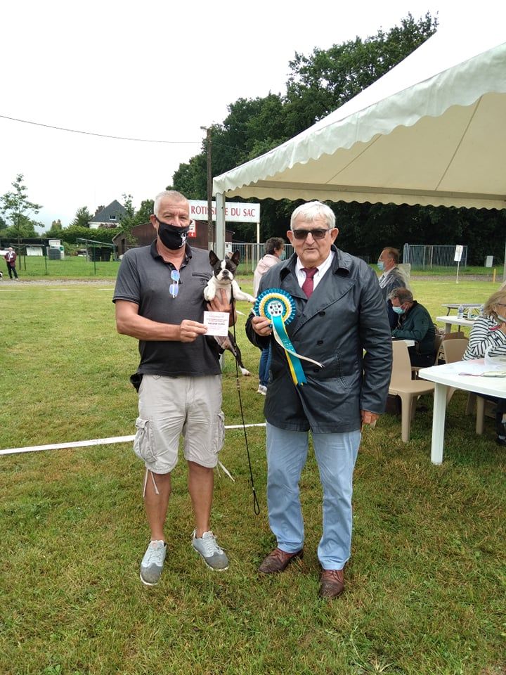 Romance de paris Du Royaume De Perla - Meilleur PUPPY de la race