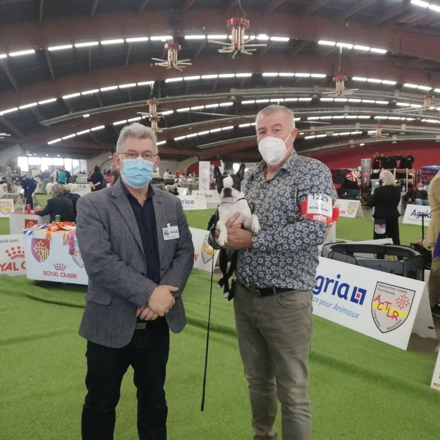 CH. Ryhanna Du Royaume De Perla - Meilleur Champion Meilleur de Race BOB