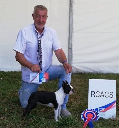 CH. Ryhanna Du Royaume De Perla - classe inter 2eme RCACS