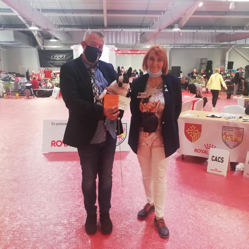 CH. Ryhanna Du Royaume De Perla - Meilleur Champion Meilleur de Race