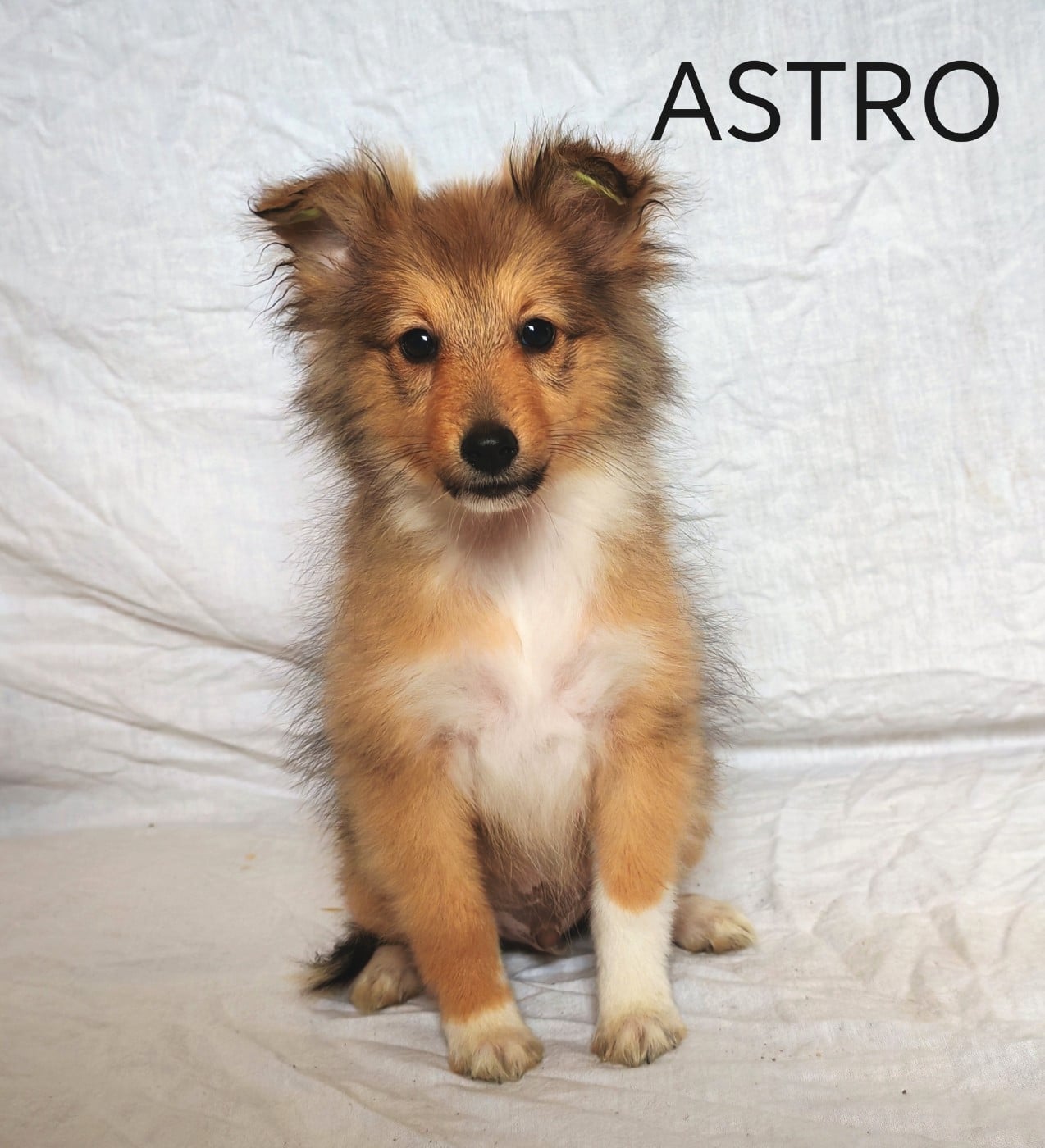 Astro