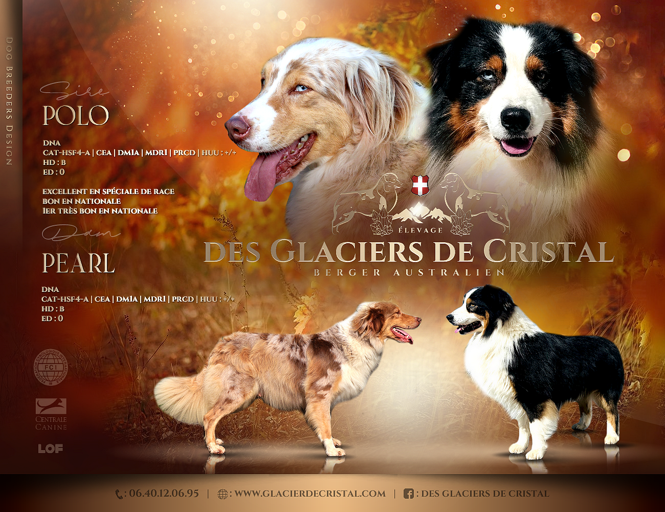 Berger Australien - des Glaciers de Cristal