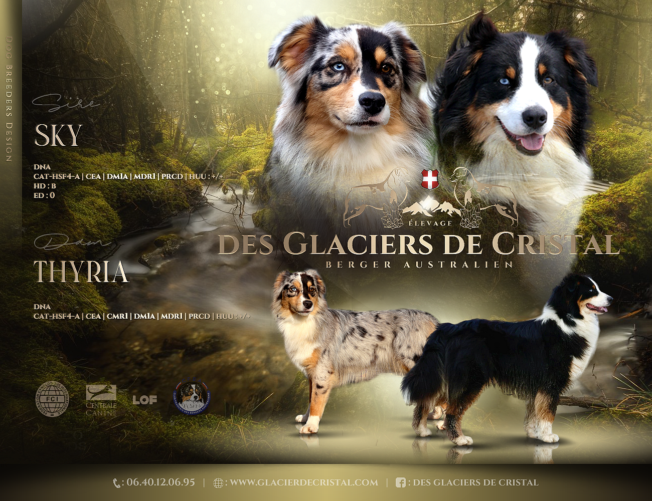 Berger Australien - des Glaciers de Cristal