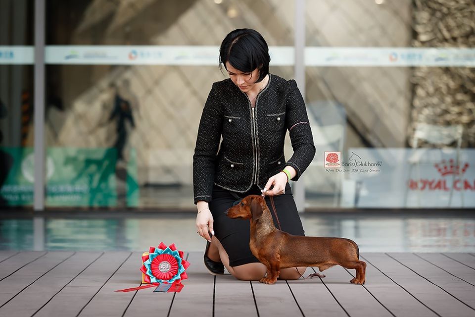 Publication : Gabéric's Auteur : Ekaterina PIKUL