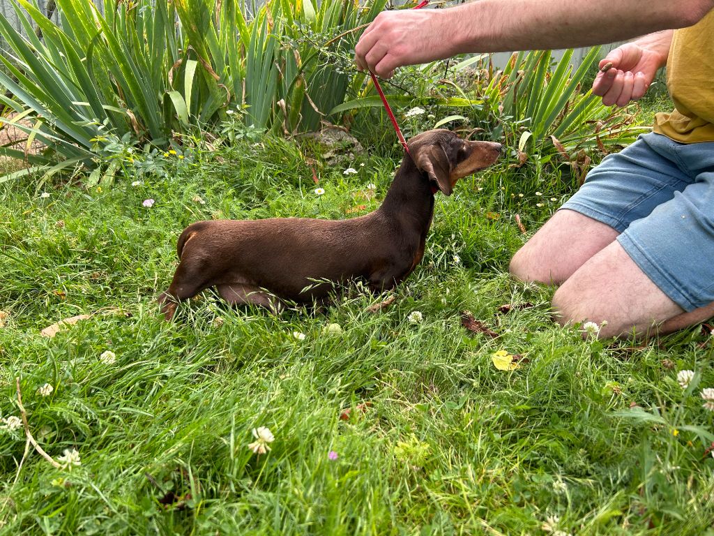 Publication : Gabéric's