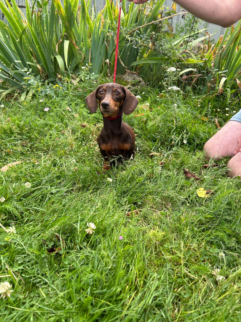 Publication : Gabéric's