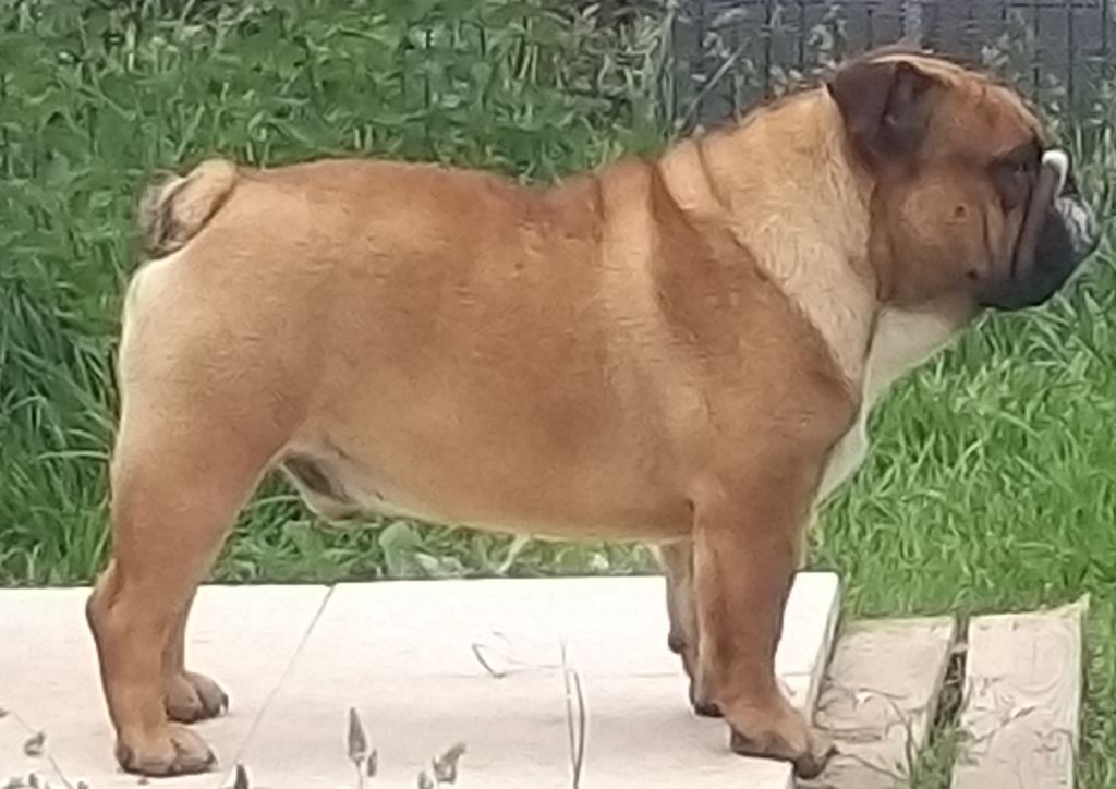 Publication : du Domaine de L'Empereur Aveugle Auteur : catherine