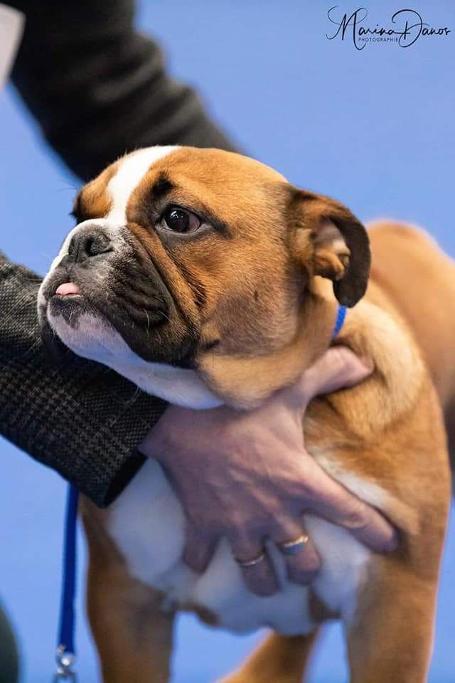 Publication : du Domaine de L'Empereur Aveugle Auteur : catherine