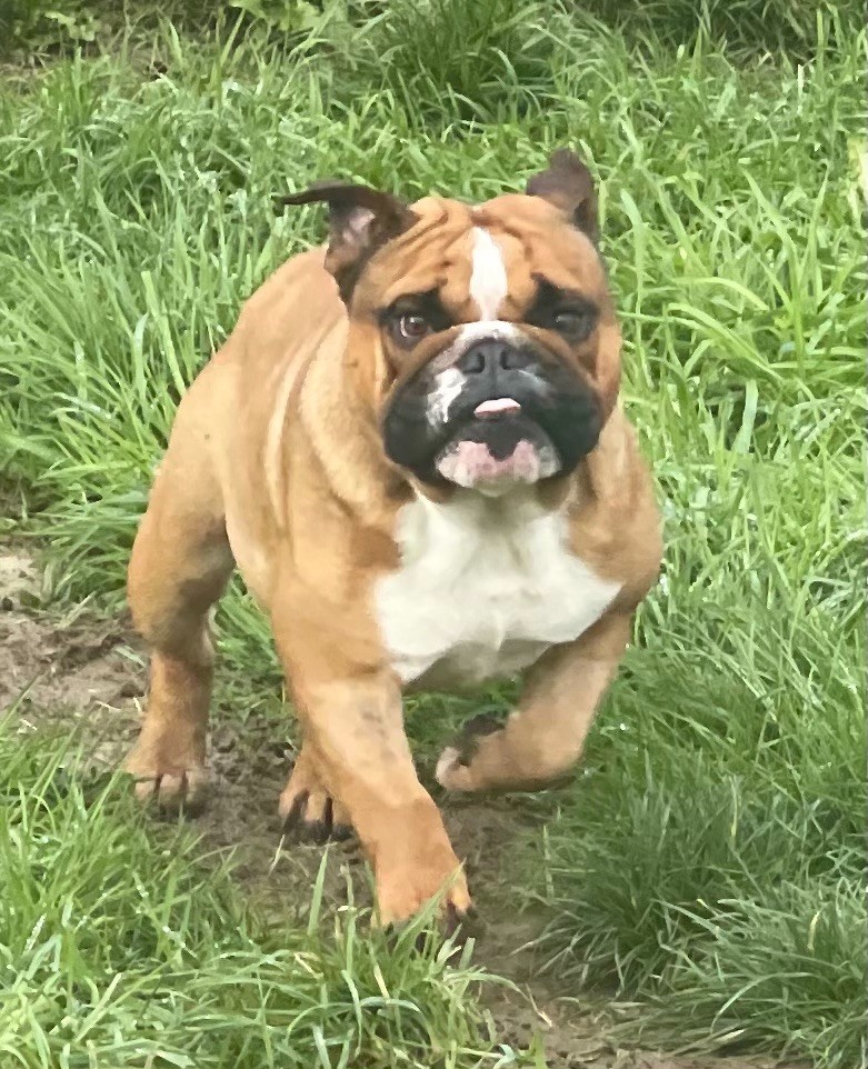 Publication : du Domaine de L'Empereur Aveugle Auteur : catherine