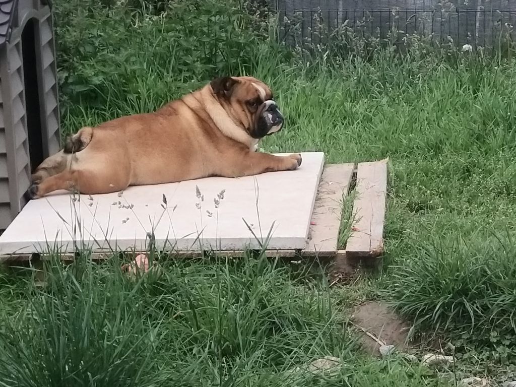 Publication : du Domaine de L'Empereur Aveugle Auteur : catherine