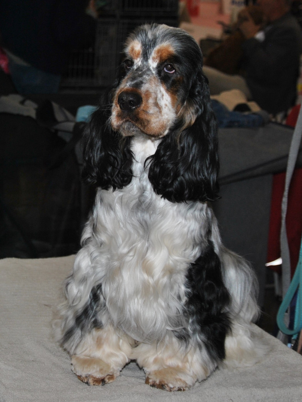 Valentino Du Clos De Jollieton