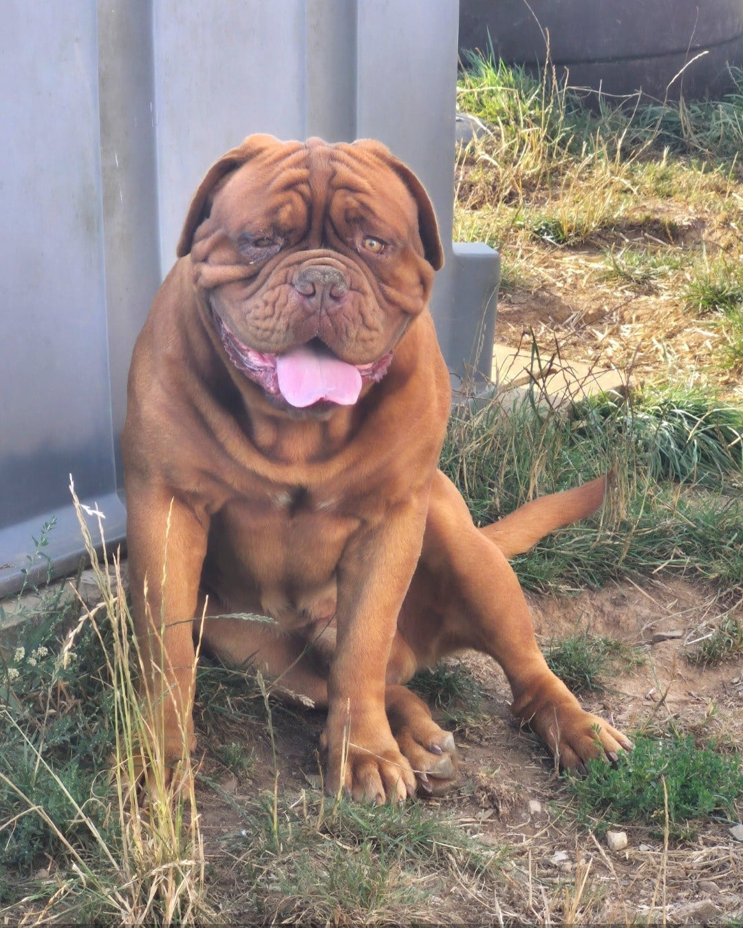 Publication : Des Terres Sacrées De Ty Scao