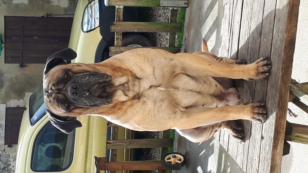 Publication : (Sans Affixe)