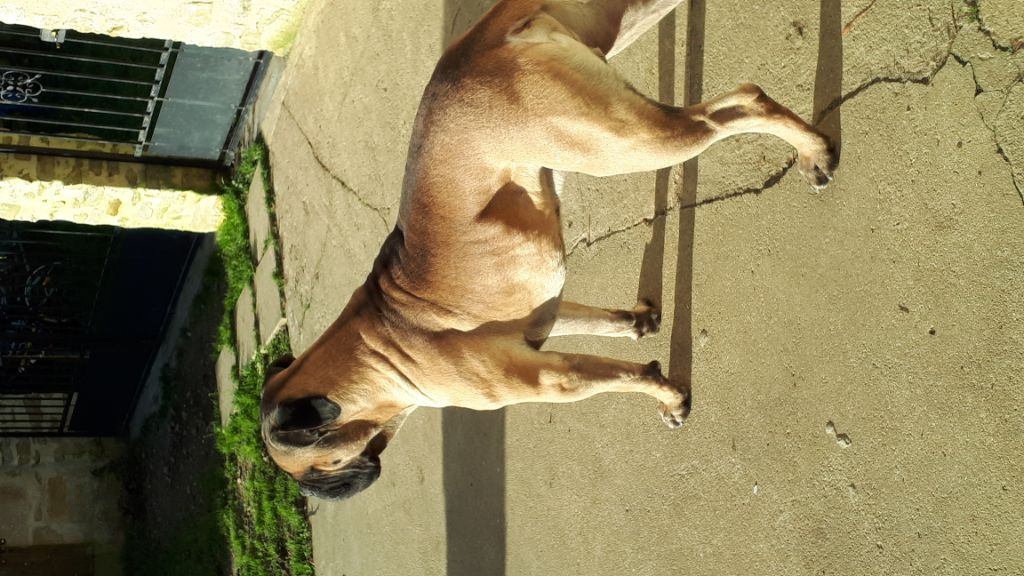 Publication : (Sans Affixe)