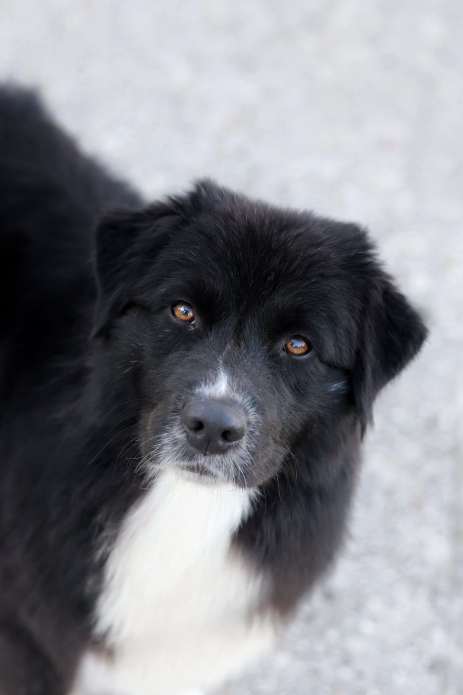 A last want Aux Mille éclats D'Aphrodite