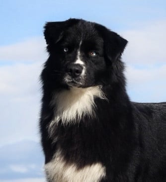 Versace trend b&w Aux Mille éclats D'Aphrodite